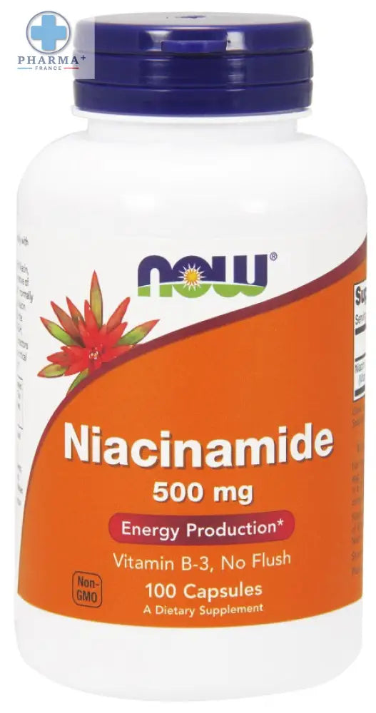 Niacinamide 100 caps – NOW Foods