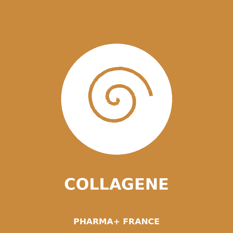 Collagène – Pharma+ France