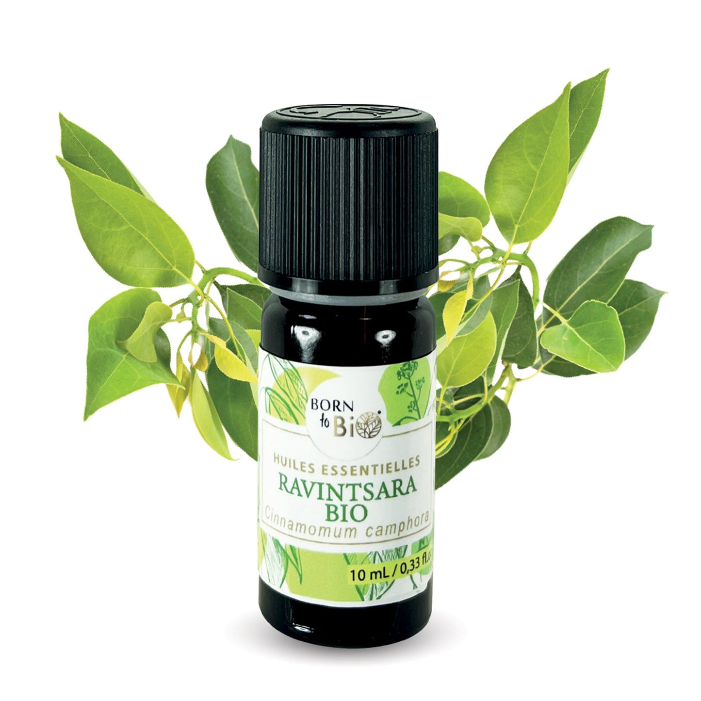 BORN TO BIO HUILE ESSENTIELLE RAVINTSARA BIO 10 ML