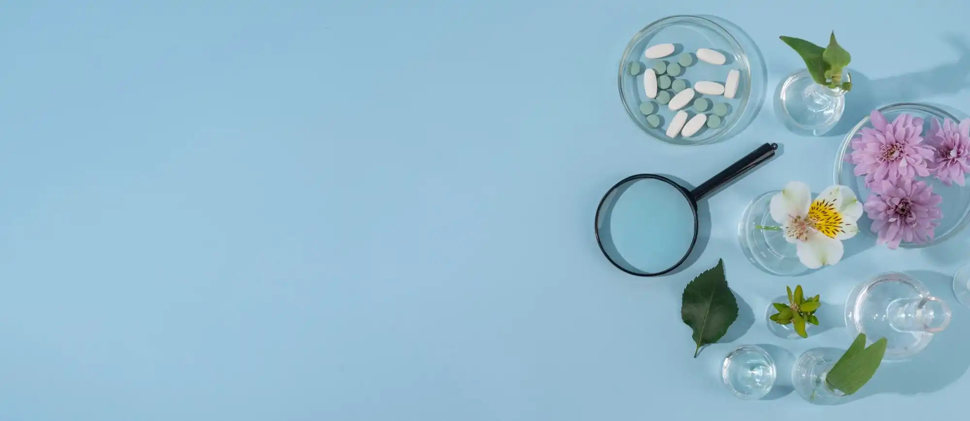 Divers articles pour la beauté naturelle et la santé.