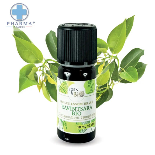 Bouteille en verre sombre avec bouchon noir et étiquette blanche illustrée de botanique huile essentielle ravintsara bio 10 ml born to bio