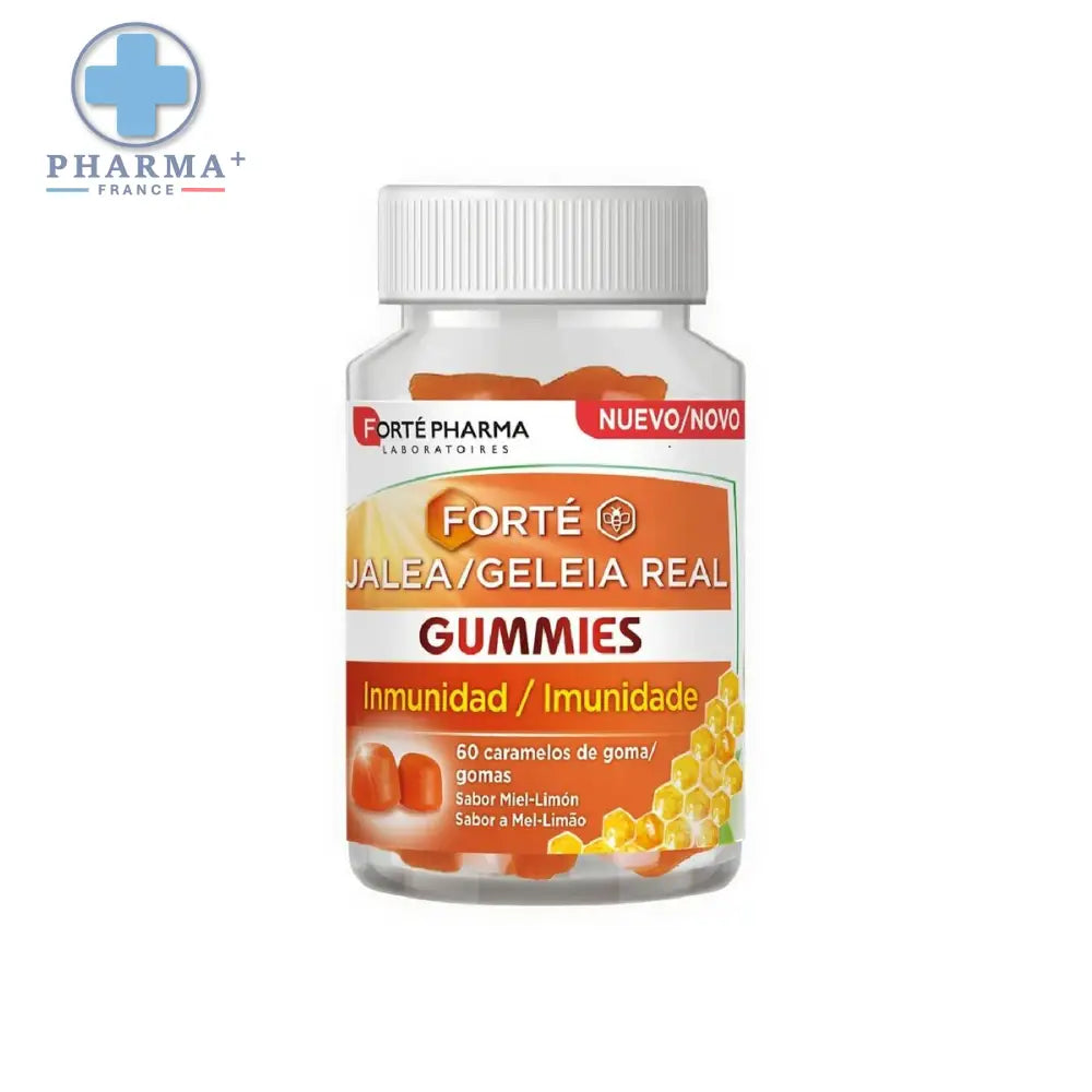 V6H2A2A3C5864035C137631C90177407996R4186517P1