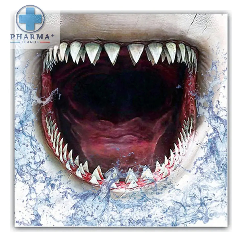 V10H142606859DE28C481166CB795ED05615R3171562P2