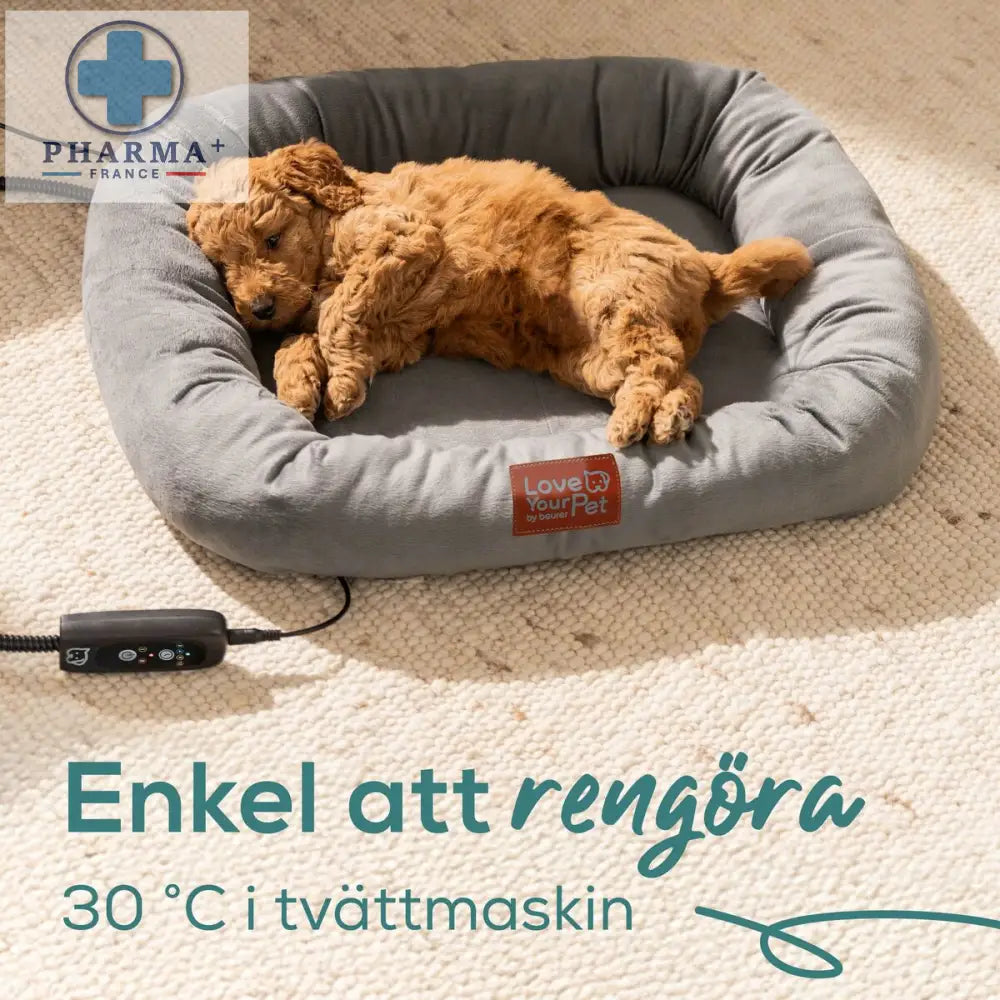 V2HAFCF5F64F3E8899407D328125111BF82R7426874P2