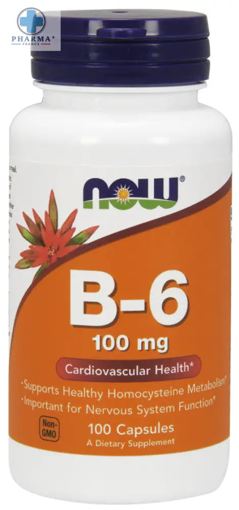 Bouteille en plastique blanc avec bouchon bleu foncé et étiquette orange du complément alimentaire now foods vitamine b-6 100 mg 100 gélules