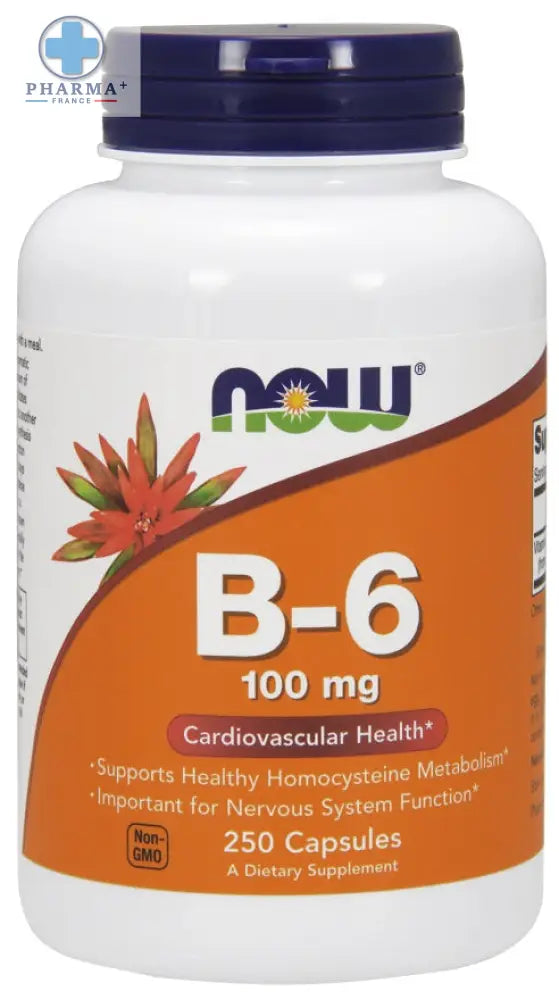 Bouteille plastique blanche avec bouchon bleu foncé et étiquette orange now foods vitamine b-6 100 mg 100 gélules