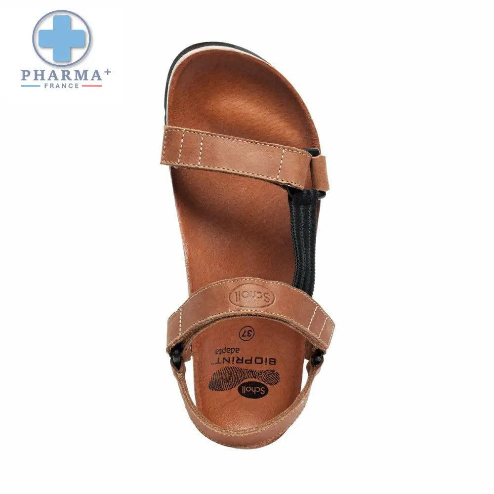 V4H2D507A5C6B86465CDC847FFCF6957D00R6430669P7