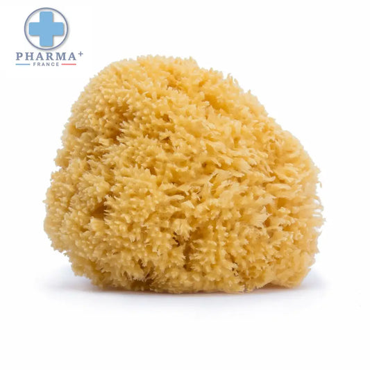 V7HF0C06F474F79BE6CA115C53848899979R4325878P1