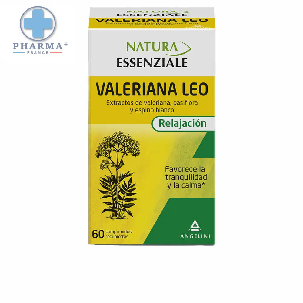 V4H845635B1D4A7124E205DBFB0C88D851AR4444120P1